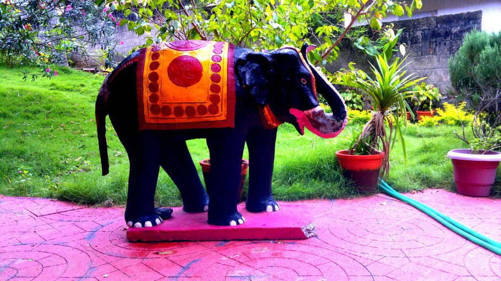 Ganesh House Homestay 코발람비치 외부 사진