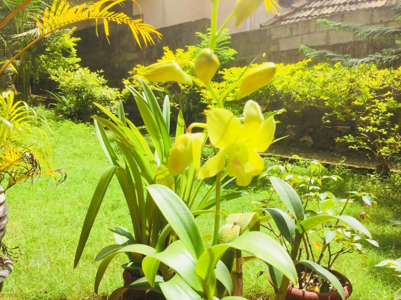 Ganesh House Homestay 코발람비치 외부 사진